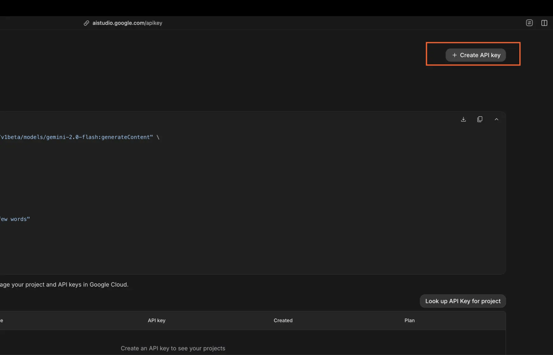 Create api key button on google ai studio interface for ai project access