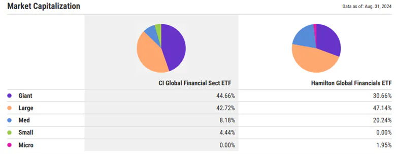 FSF vs HFG Capitalization