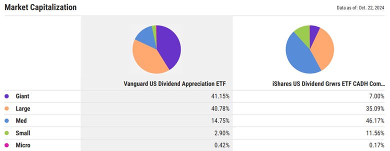 VGG vs CUD Capitalizations