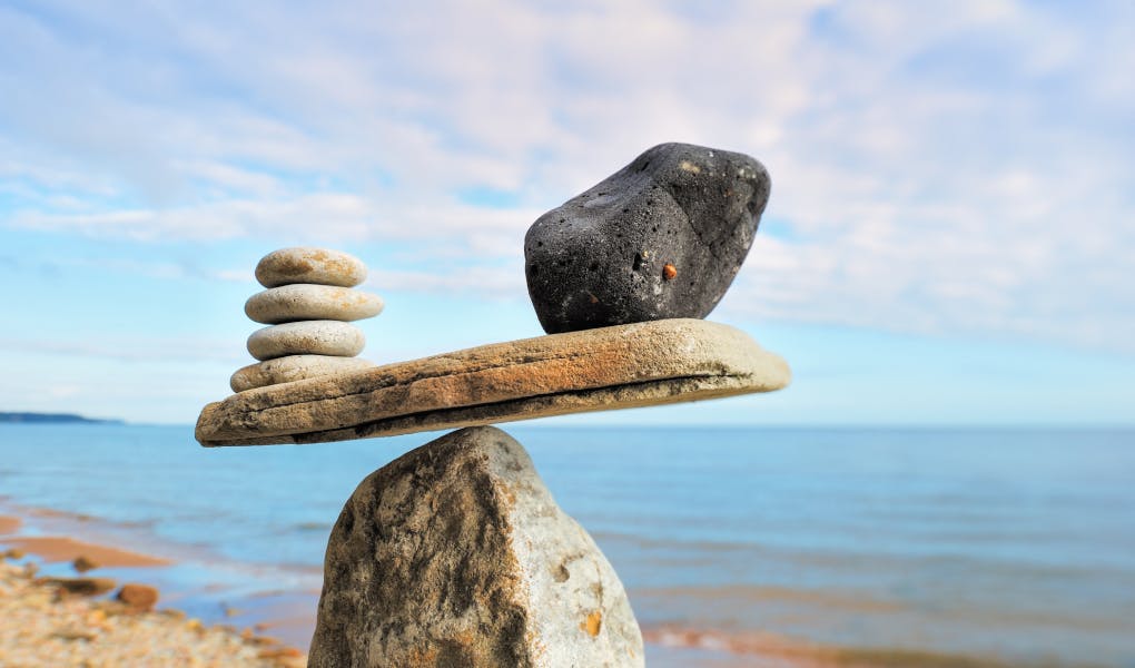 Is the Pendulum Swinging Too Far? From Growth at All Costs to No Growth