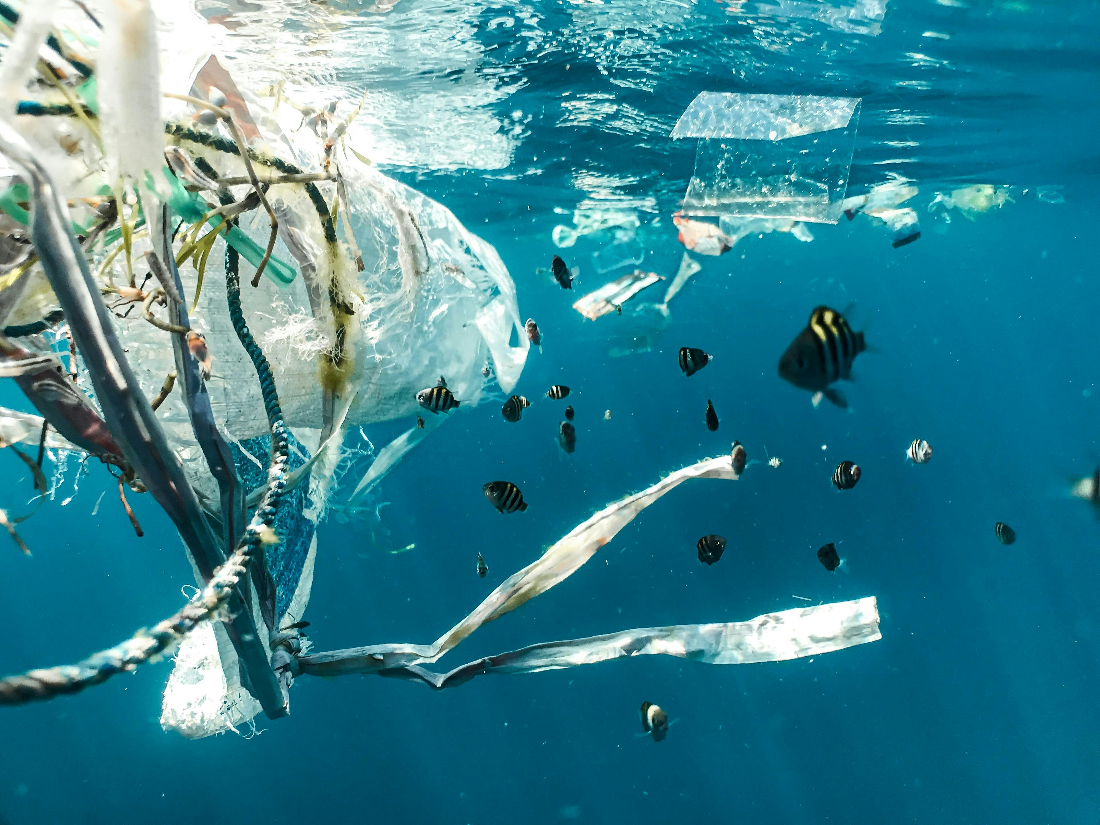 Trash floating in the ocean
