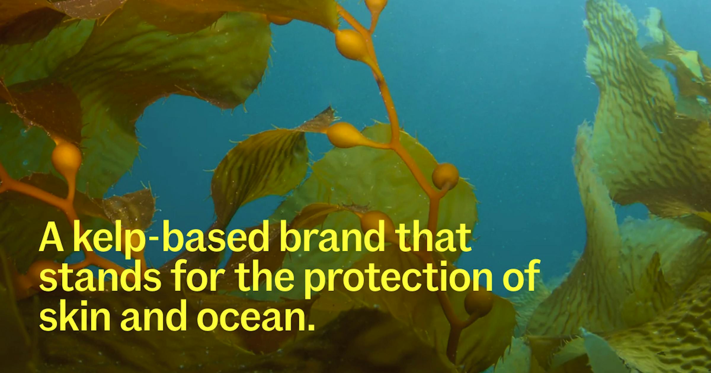 Neptune Ave. Skincare