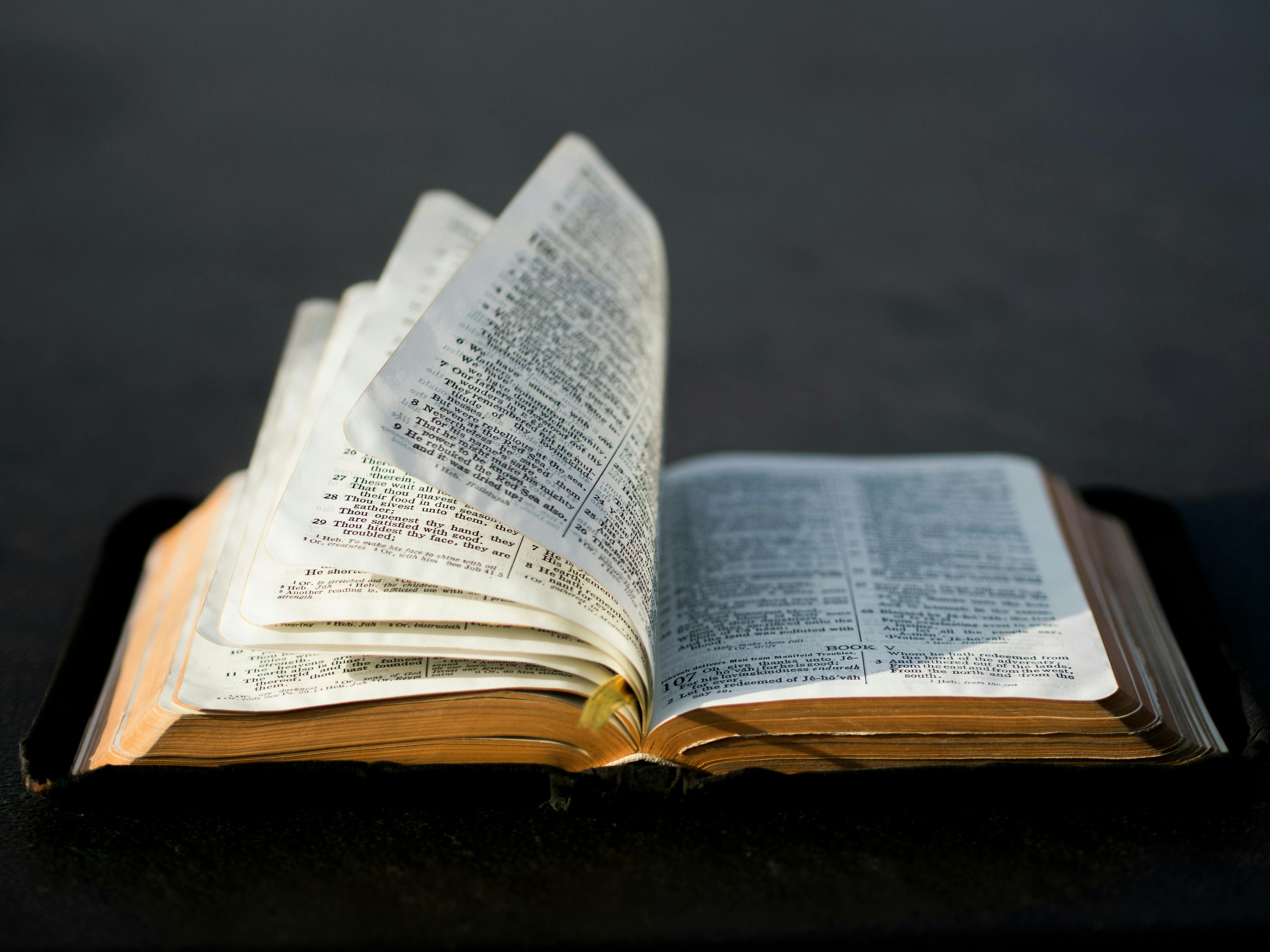 new bible