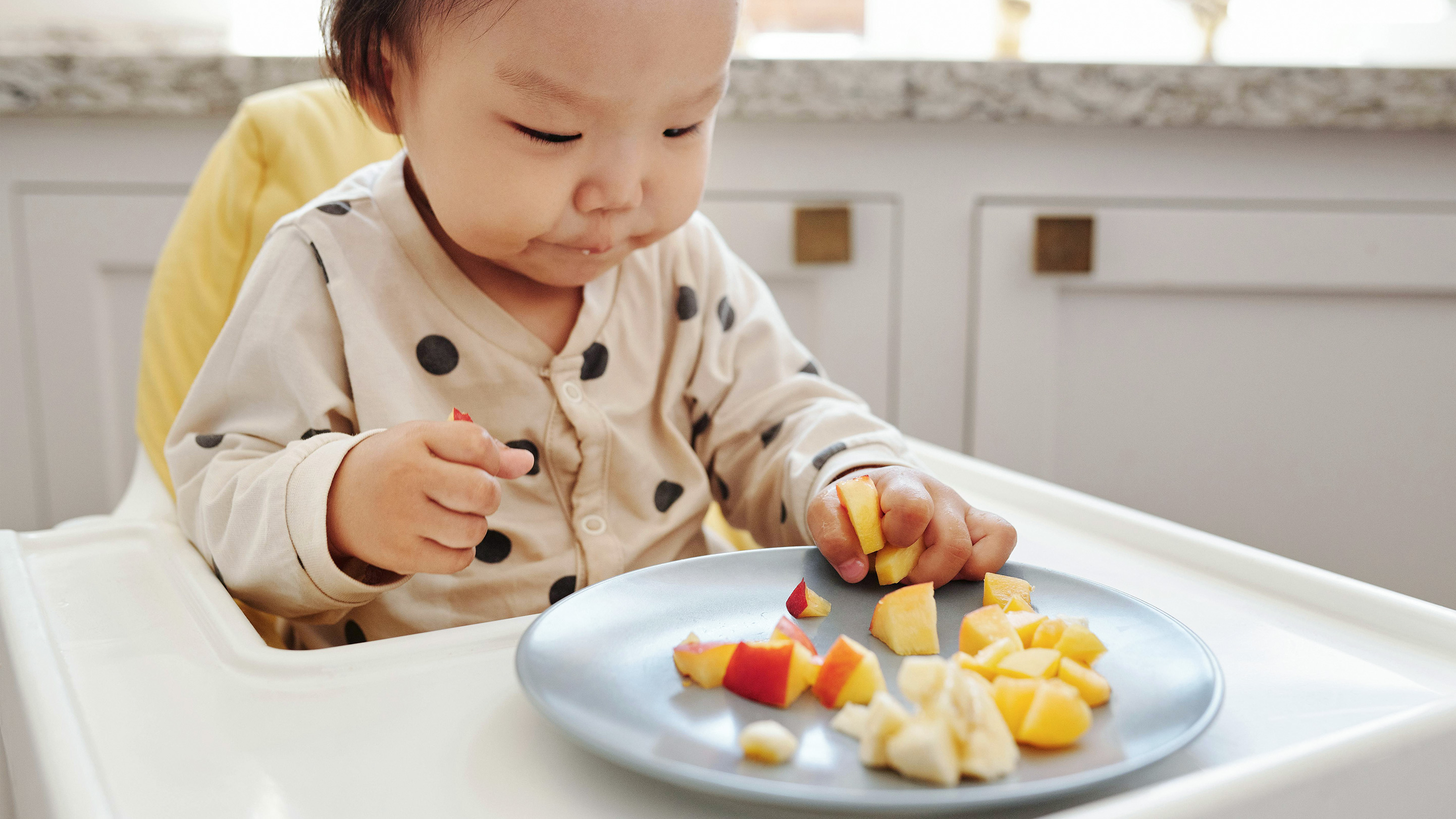 Starting Solids 101: A Parent’s Guide to Baby’s First Bites | Nest Designs