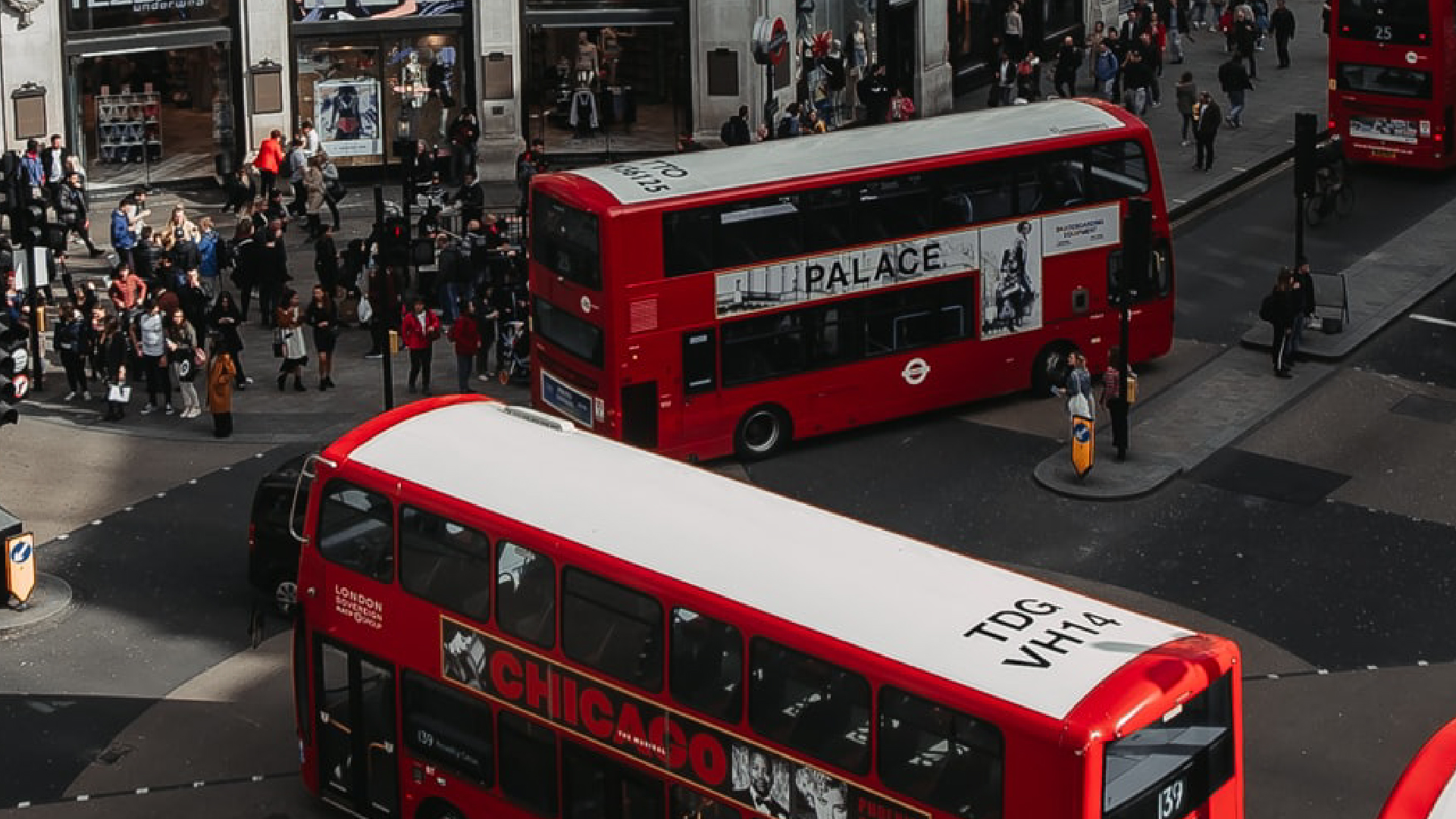red busses near Bloomsbury Institute's campus in London