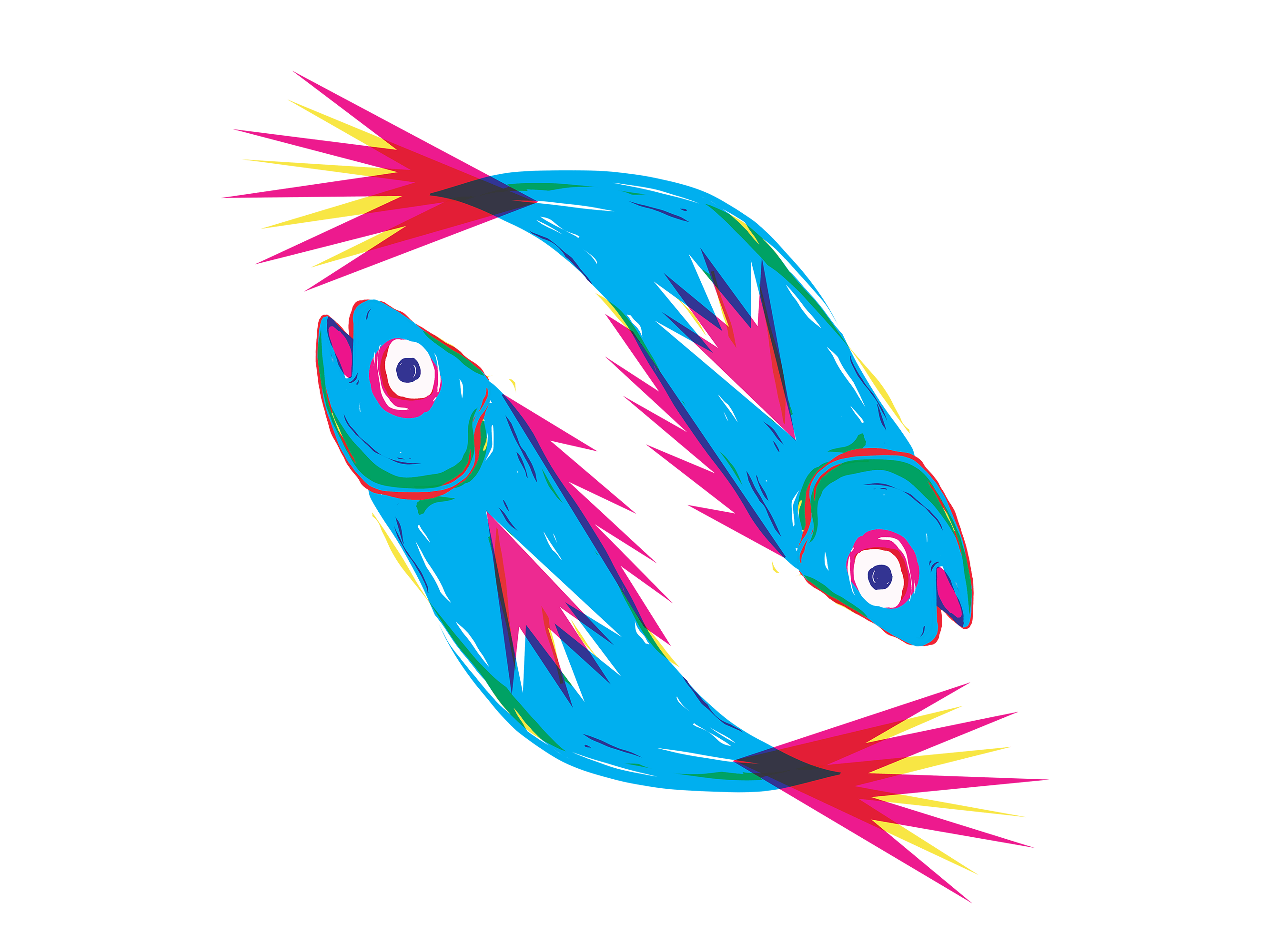 two blue fish with red tails and pink fins.