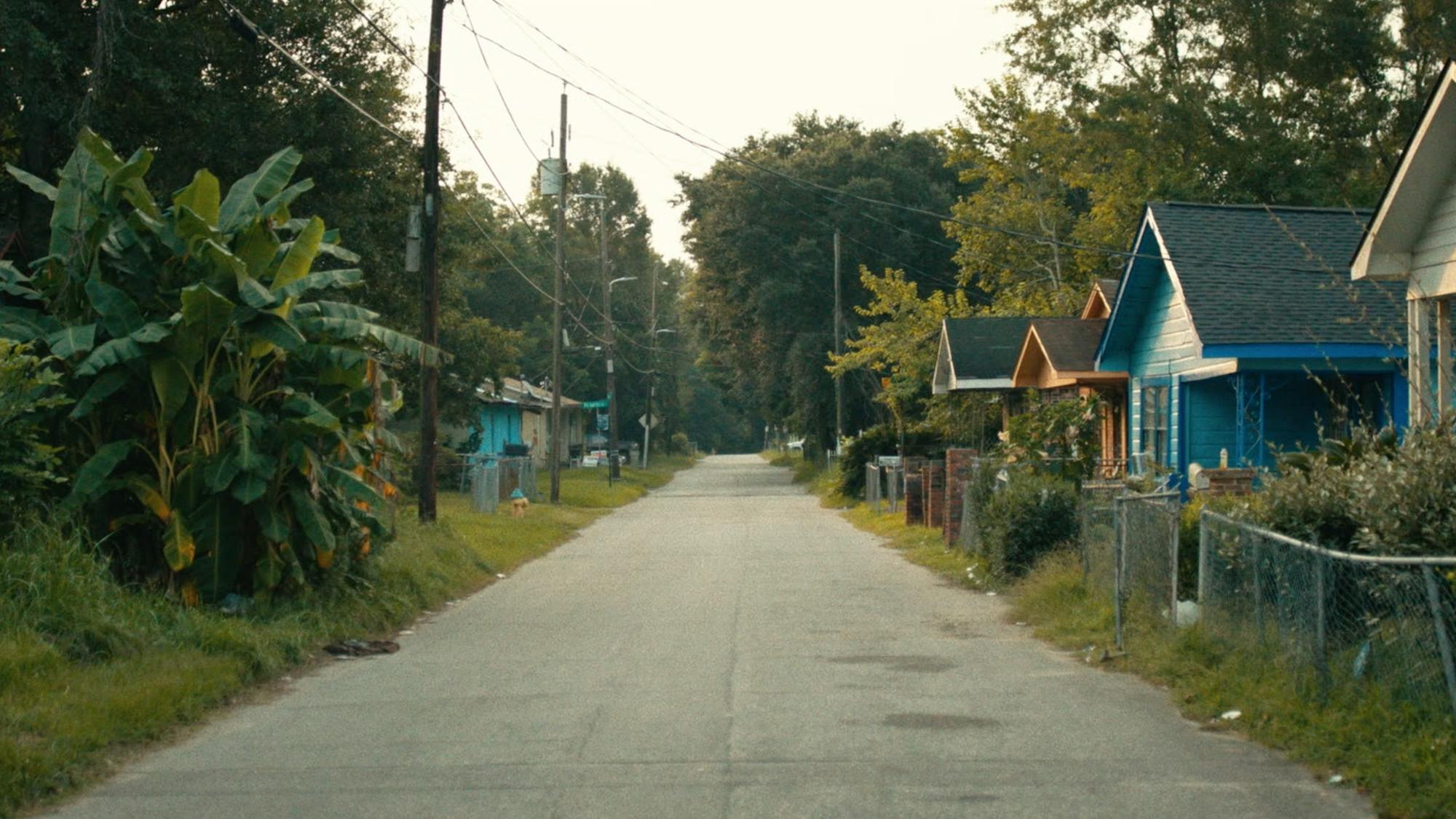 A street dotted with blue, orange, and yellow houses, with lush, overgrown lawns.