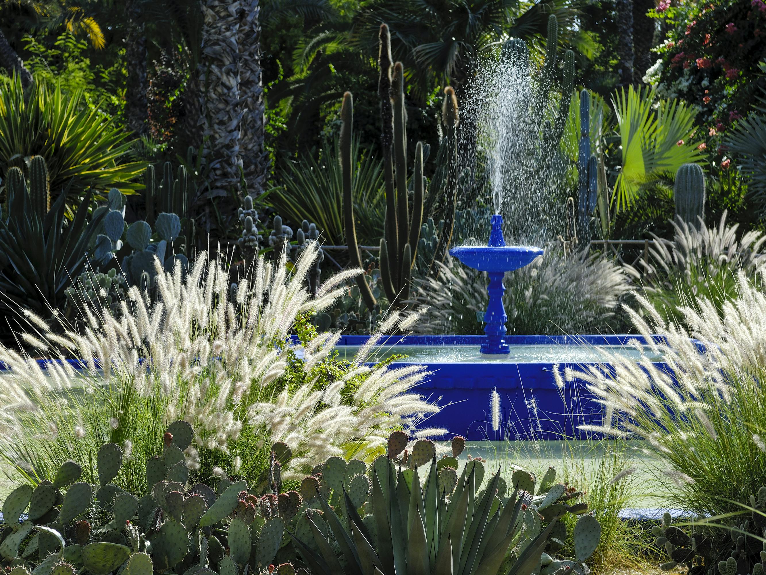 Jardin Majorelle. There is a royal blue fountain and green shrubbery surrounding.
