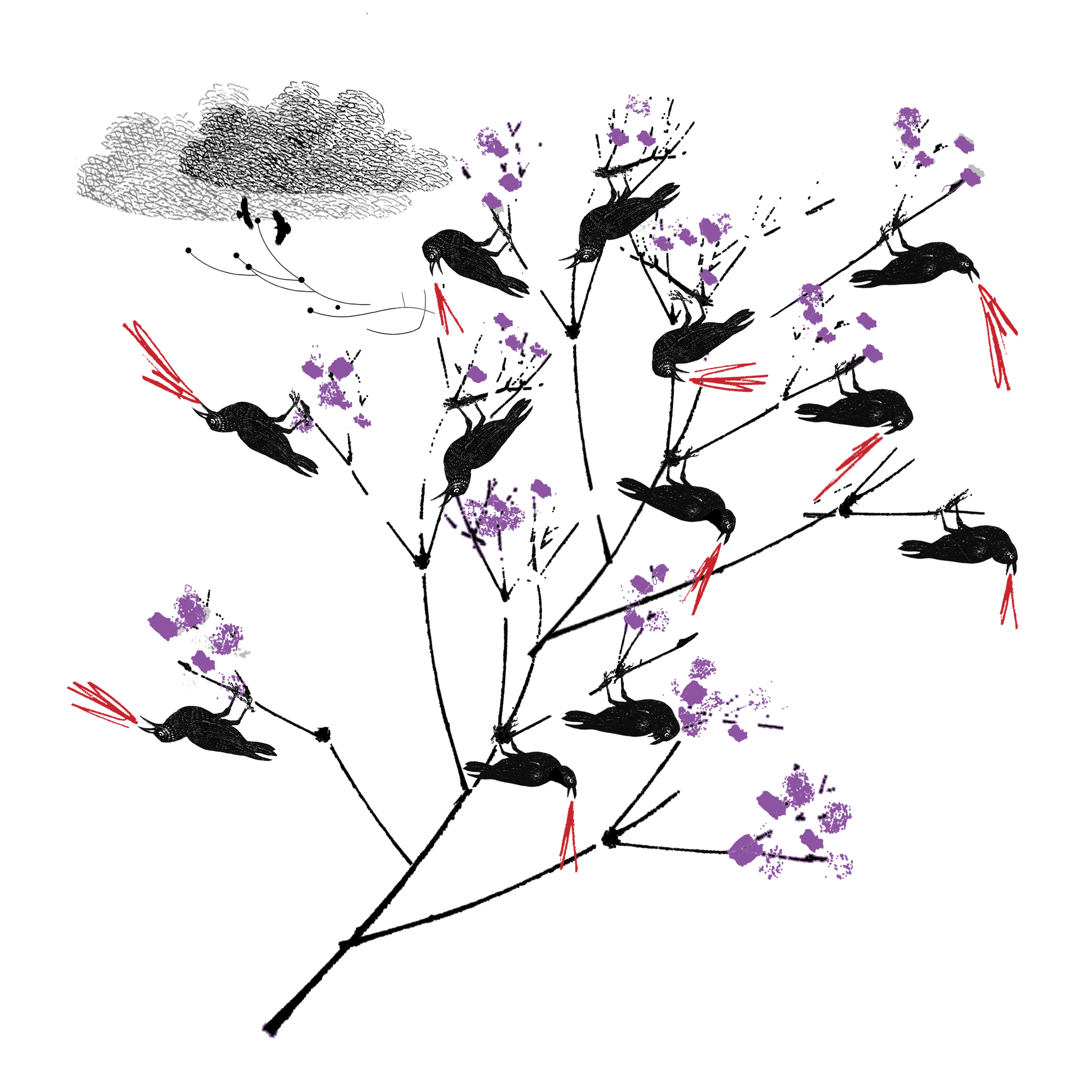 Some black crows perch in a thin tree with purple flowers.