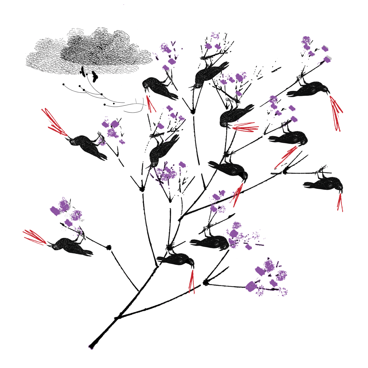 Some black crows perch in a thin tree with purple flowers.