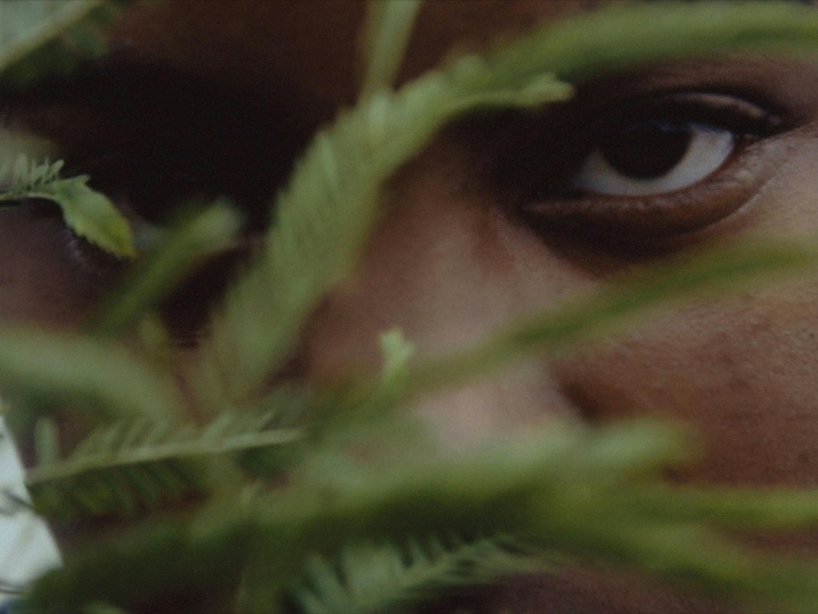 A close-up of a girl’s face. She peers intensely through some greenery.