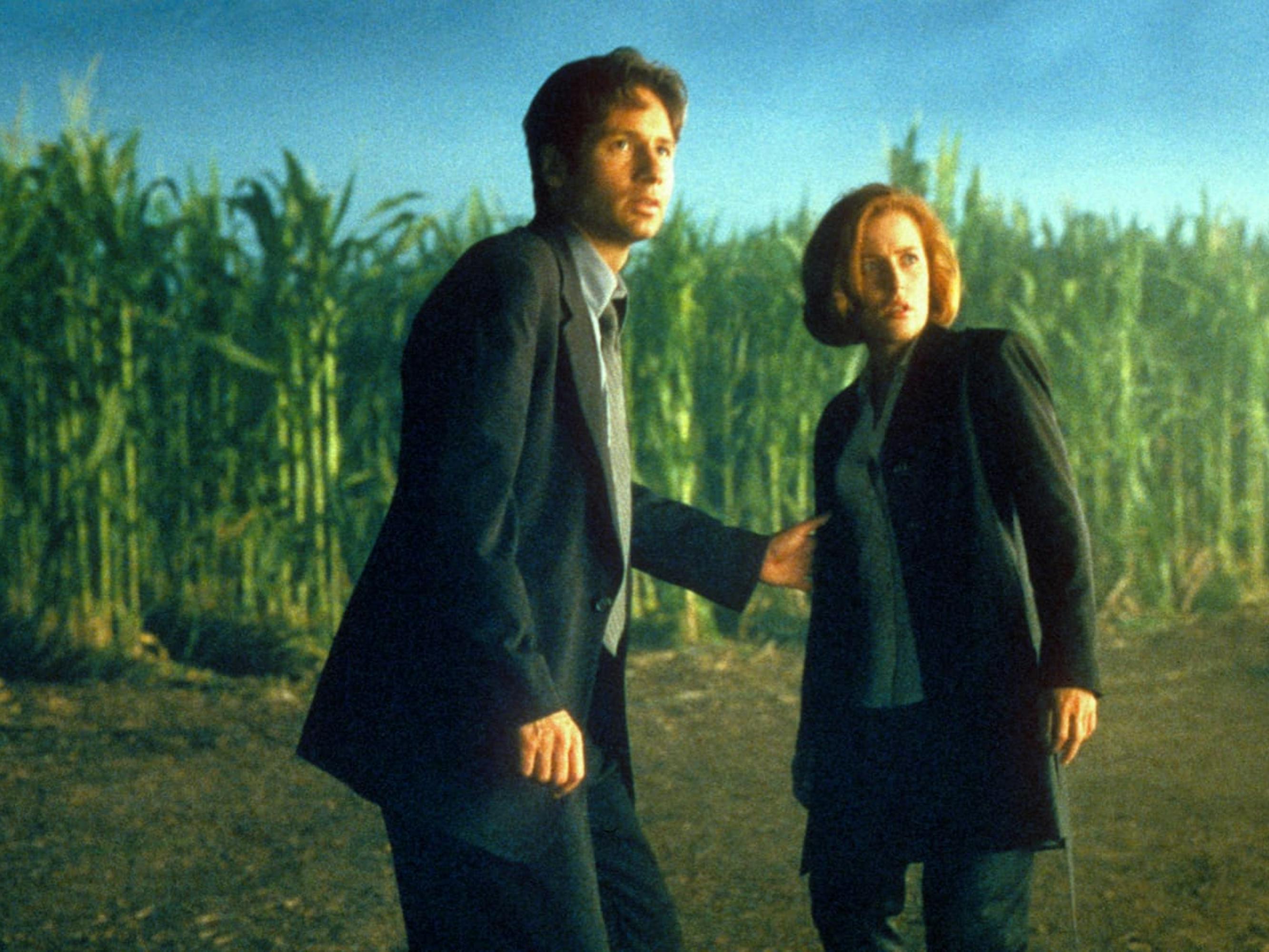 Fox Mulder (David Duchovny) and Dana Scully (Gillian Anderson) in The X-Files stand in a corn field.