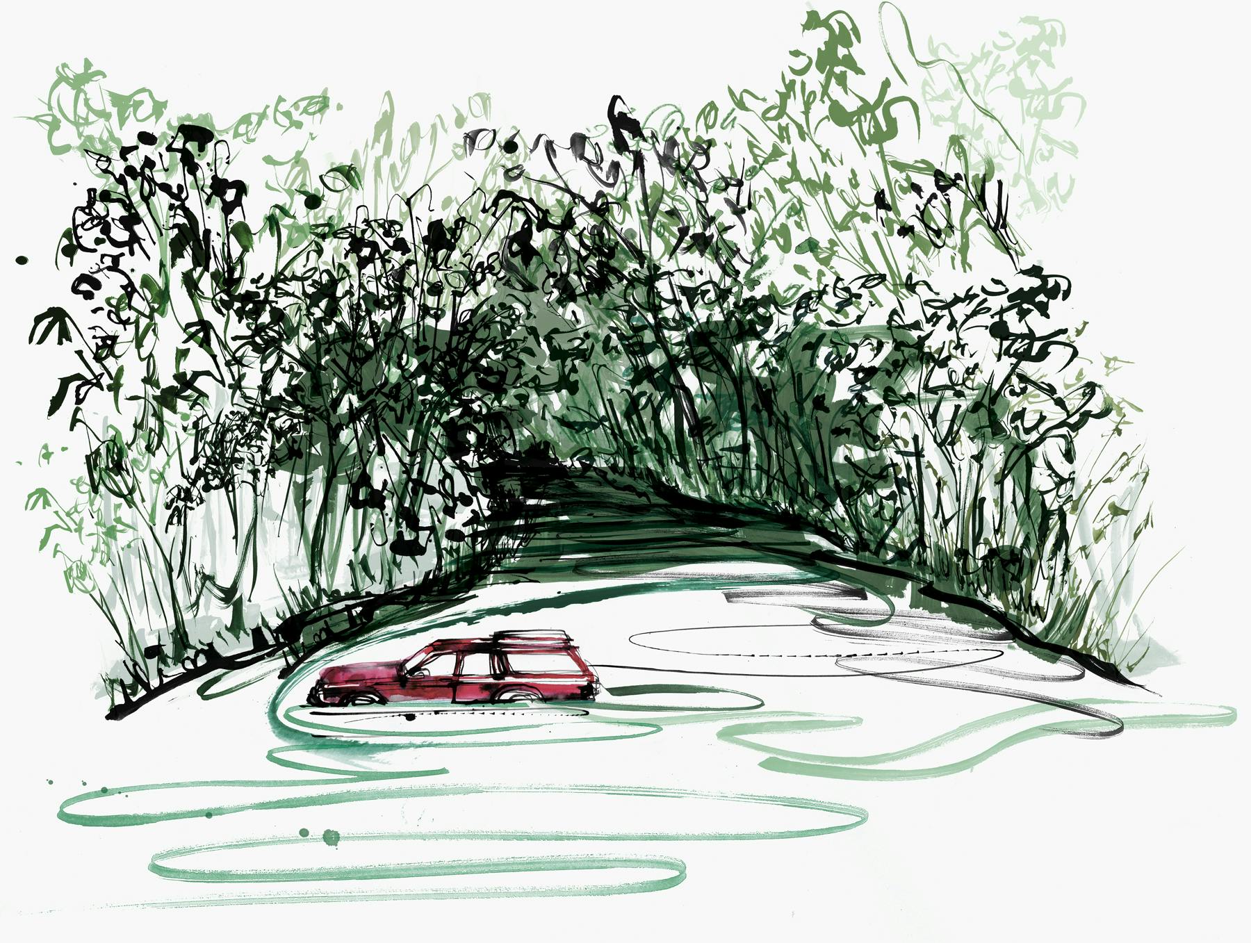 A colorful drawing of a station wagon wading through some water in some green woods.
