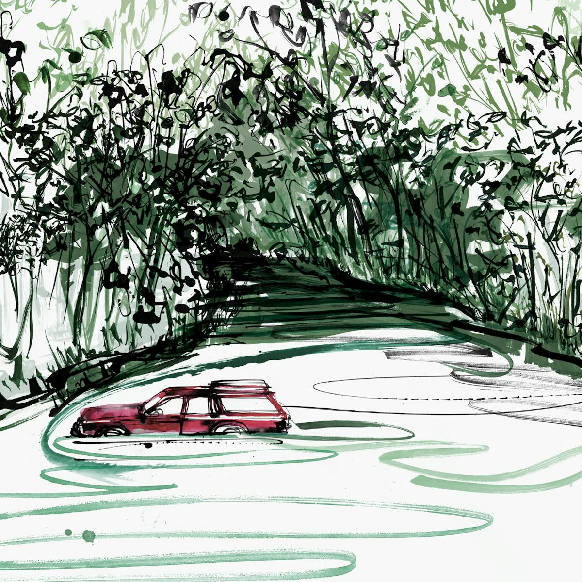 A colorful drawing of a station wagon wading through some water in some green woods.