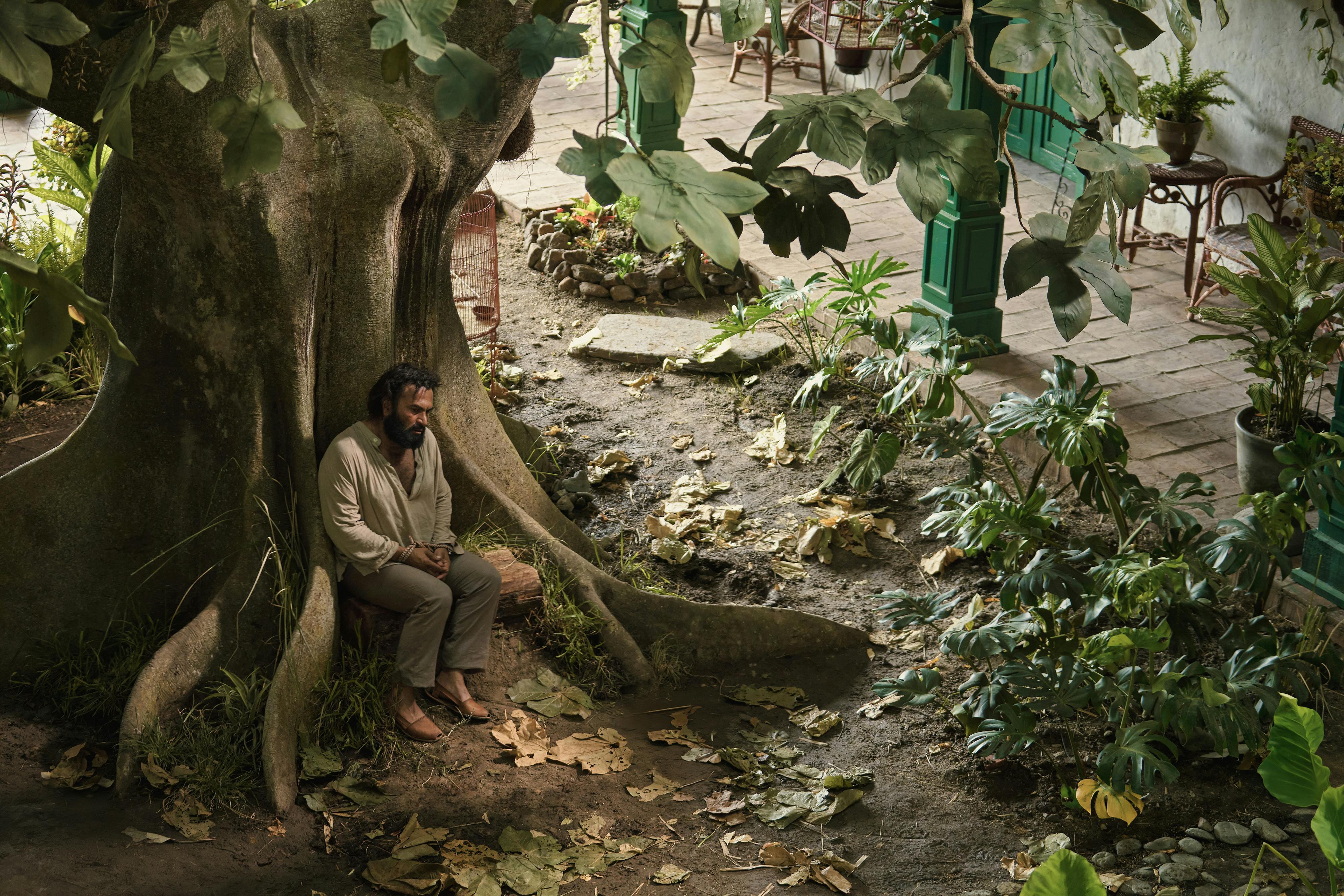 José Arcadio Buendía (Diego Vásquez) sits below a tree, the ground littered with leaves.