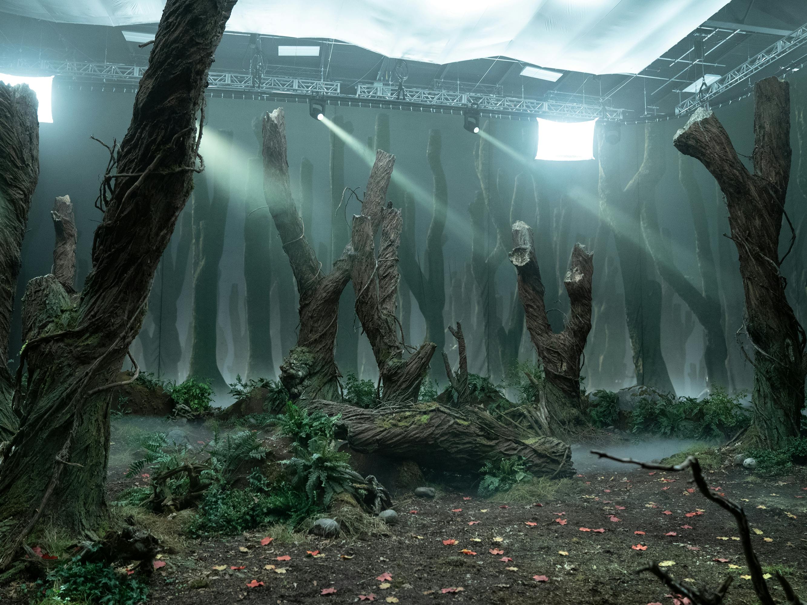 Cabinet of Curiosities' Director on Creating 'Terrifying' Witch For Real