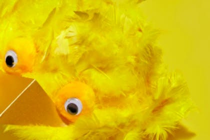 Yellow Easter chick Big Bird bonnet