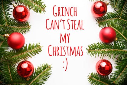 Cant steal my Christmas mr Grinch