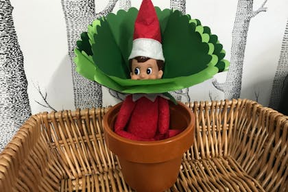 Elf on the Shelf disguised as a flower in plant pot