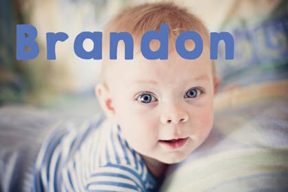 Baby name Brandon