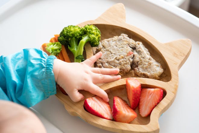 plate of food for baby led weaning