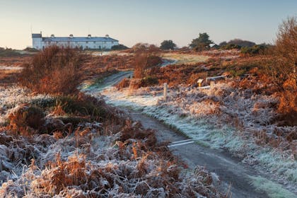 frost in field with house in background