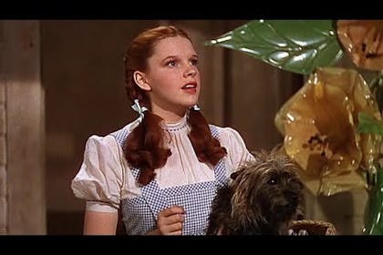 Dorothy Wizard of Oz