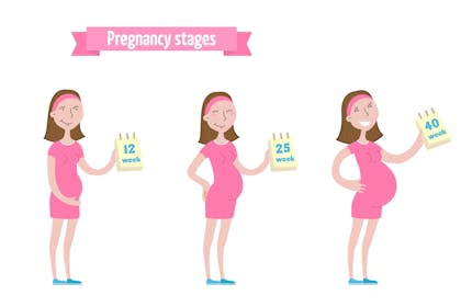 Illustration showing the different stages of a nine month pregnancy