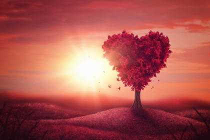 heart love tree