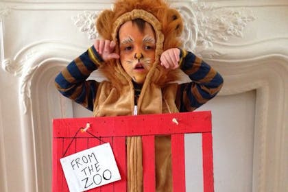 little boy in World Book Day costume as character from Dear Zoo