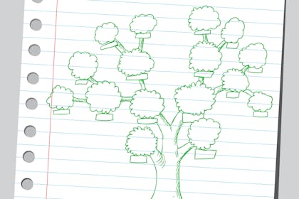 Large oak tree drawn on lined notebook paper