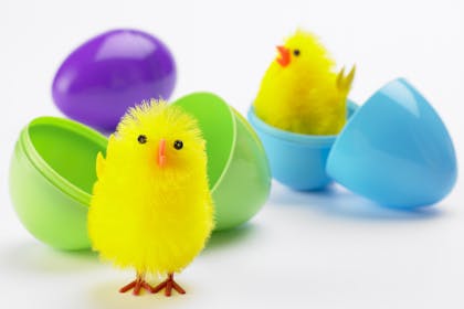 two toy easter chicks in toy eggs