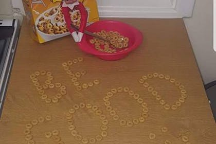 Cereal elf