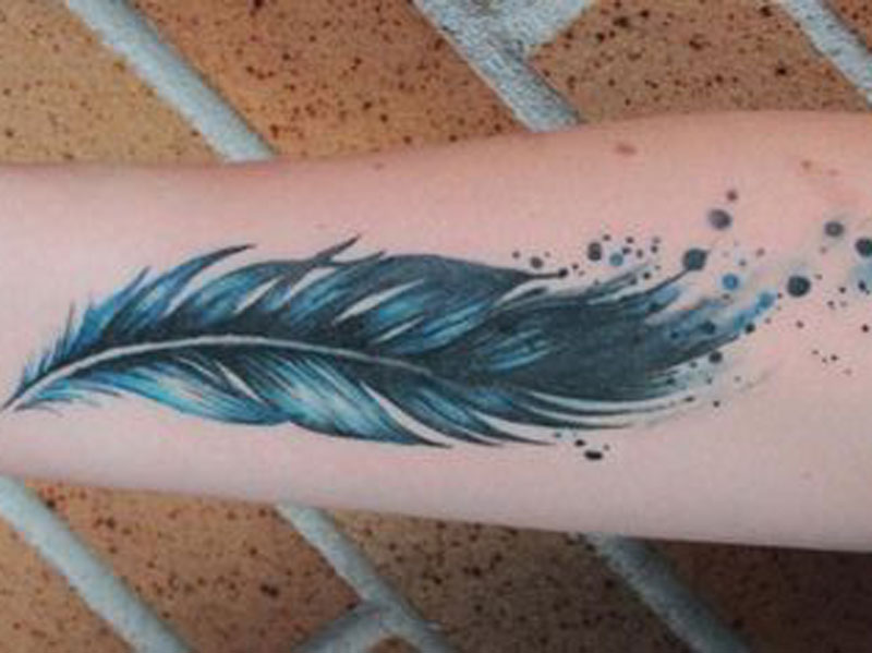 Discover more than 70 blue jay feather tattoo latest  thtantai2