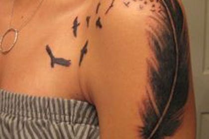Feather and bird arm tattoo