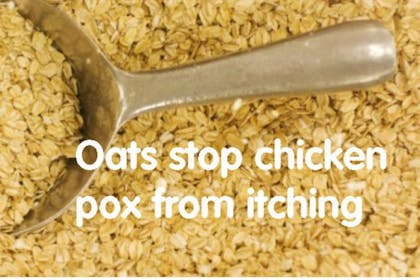 oats on silver spoon