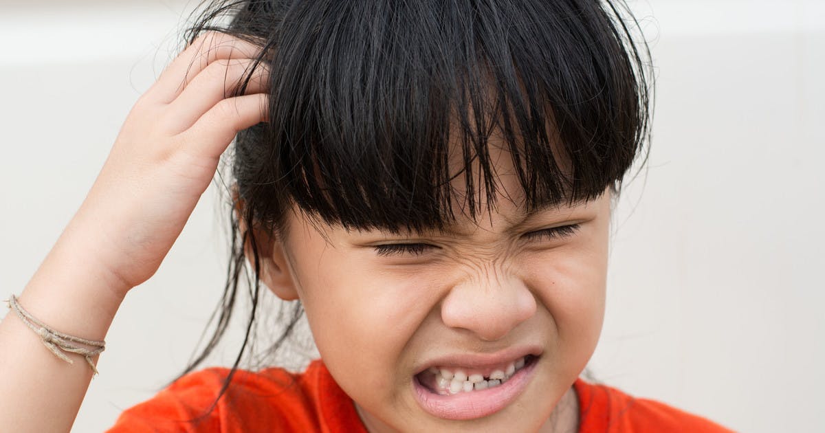 Schools Warned Of Surge In Head Lice Outbreaks Affecting