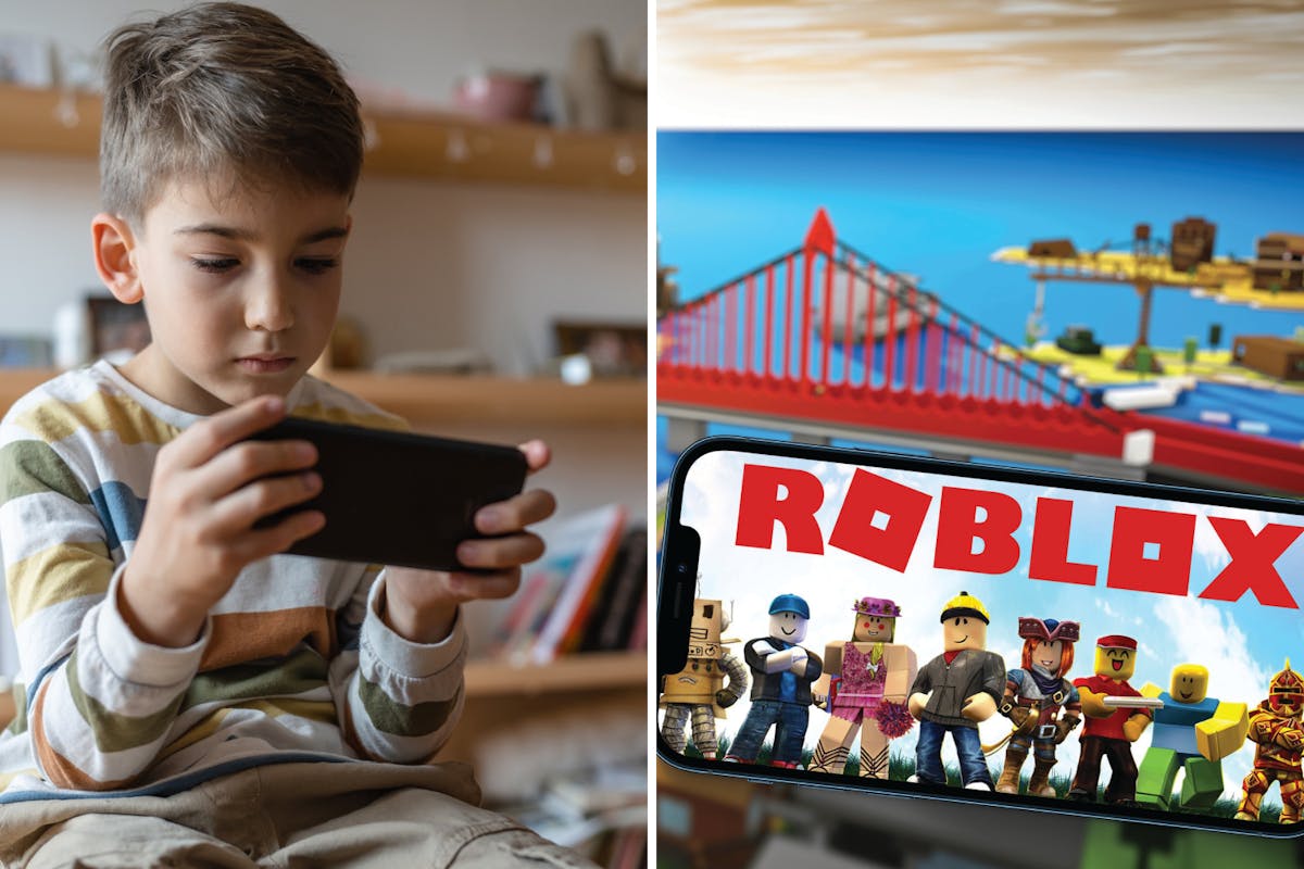 PARENTS BEWARE: Kids Subjected to 'Sex Parties' and Shocking Sexual  Propositions in 'Roblox' Game