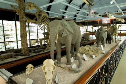 National History Museum at Tring