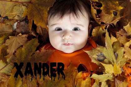 Xander baby name