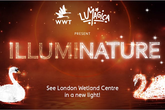 Illuminature at WWT London Wetland Centre