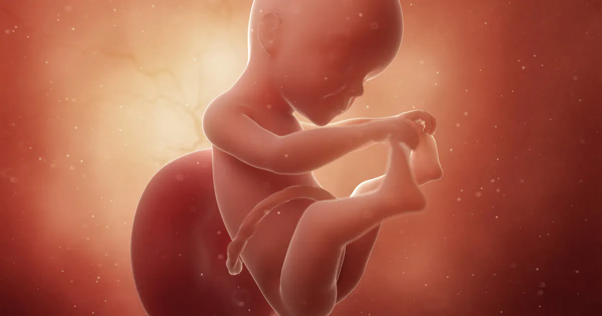 25-weeks-pregnant-pregnancy-week-by-week-netmums