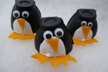 egg box penguins