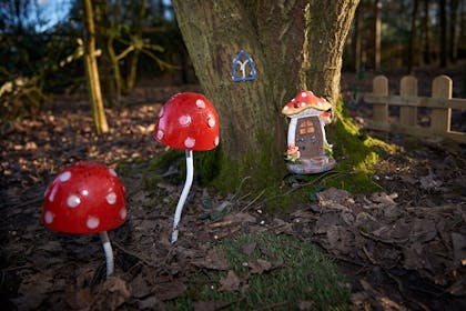 Church Farm fairy toadstools