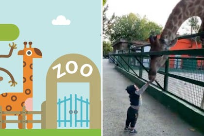 Left: Zoo graphicRight: Boy feeding giraffe