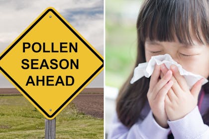 pollen season sign and child sneezing