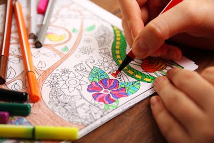 adult colouring