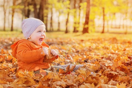 baby sitting in autumn leaves