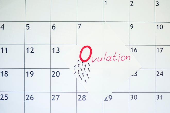 A calendar with a sticker with Ovulation written on it