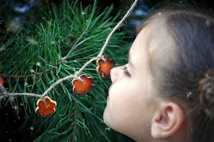 girl smelling christmas tree